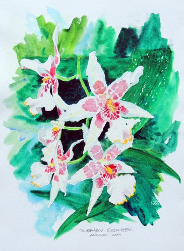 The watercolor painting that Priscilla's brother did for her.